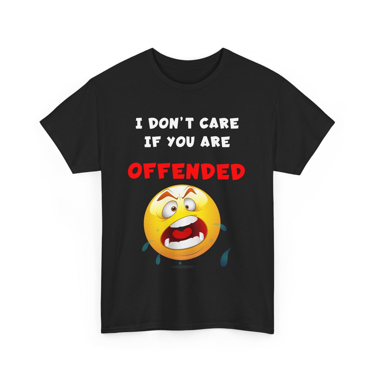 I Don't Care If You Are Offended